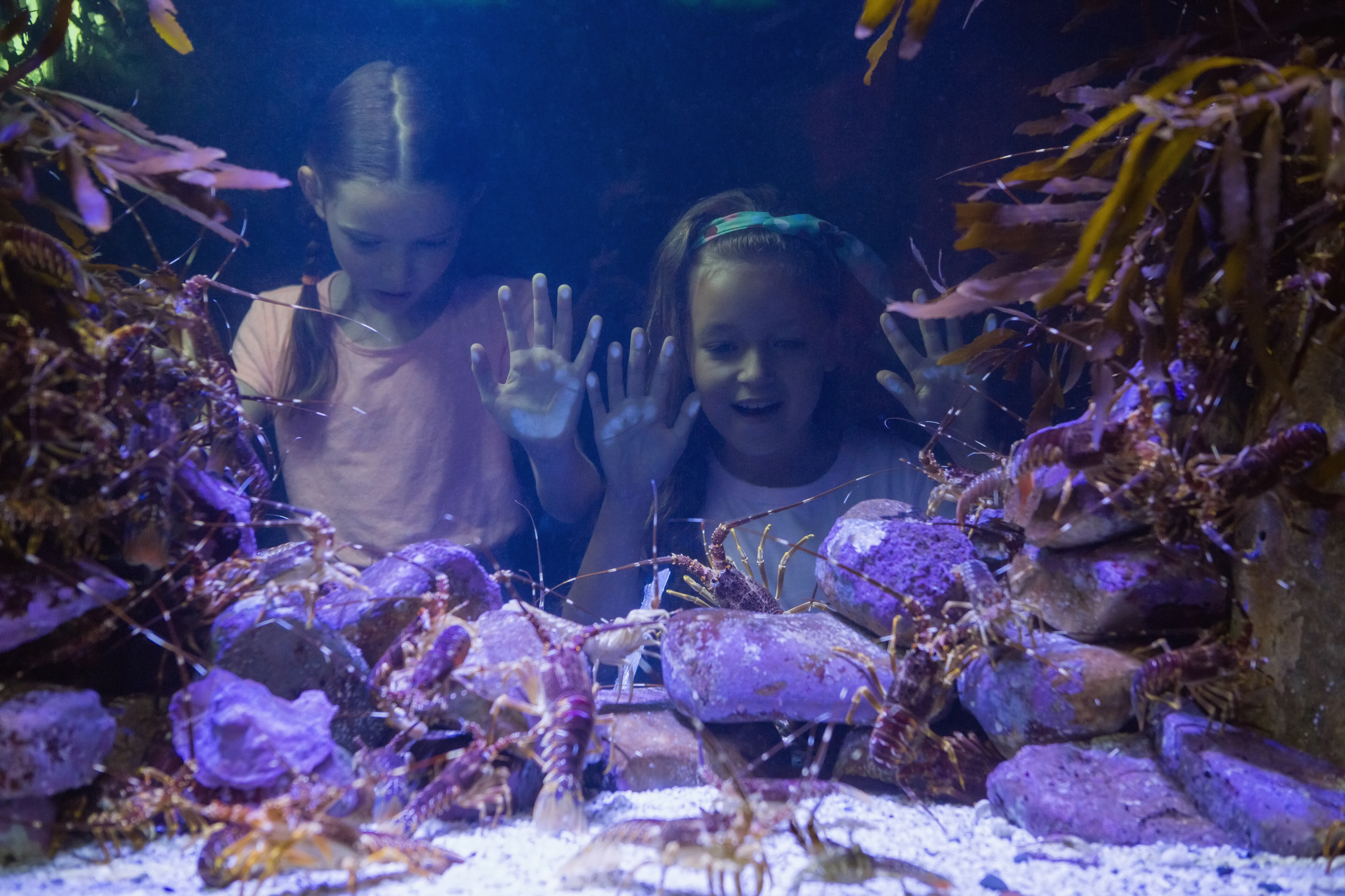 Aquarium sand outlet fountain