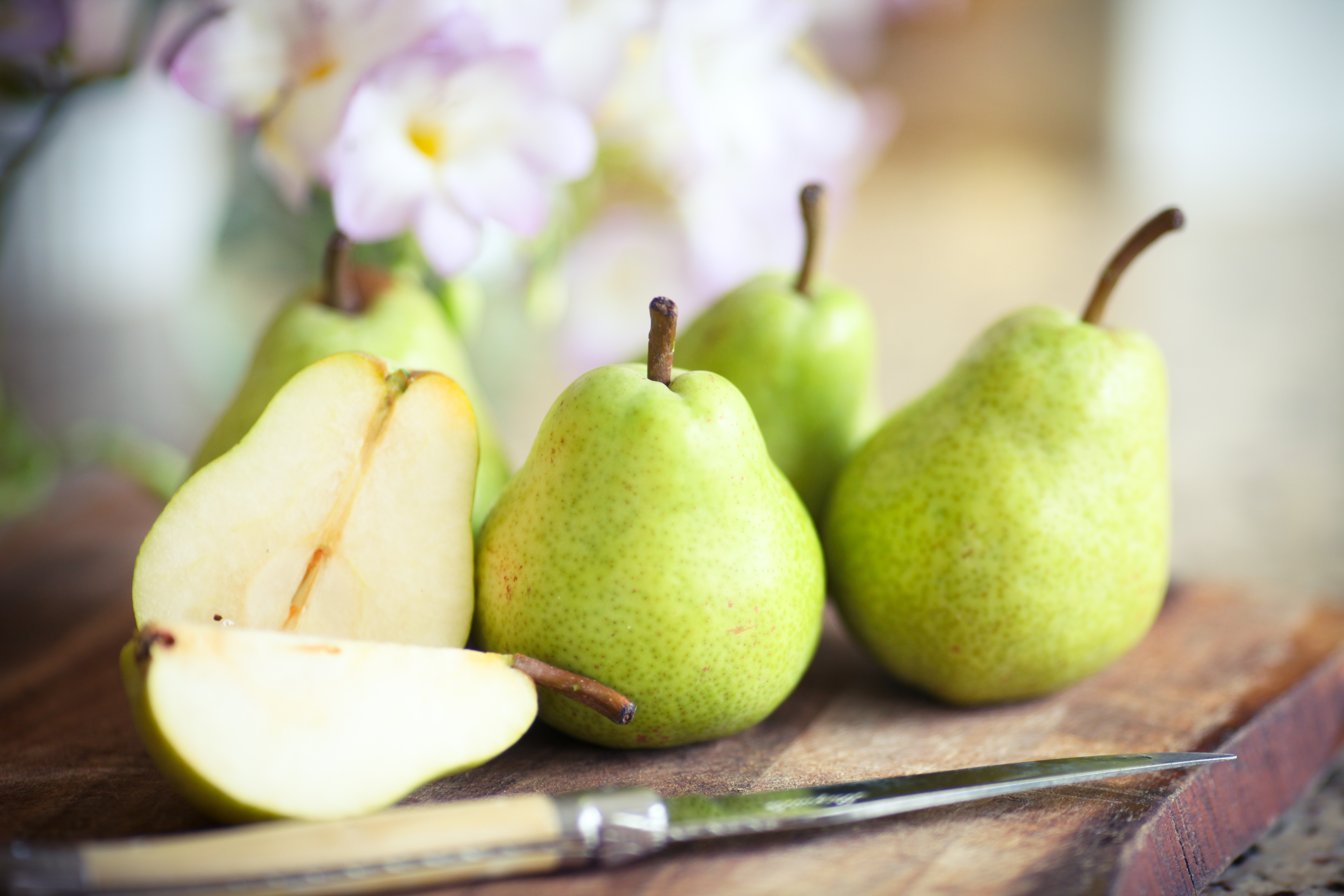 Are pears poisonous to 2024 dogs