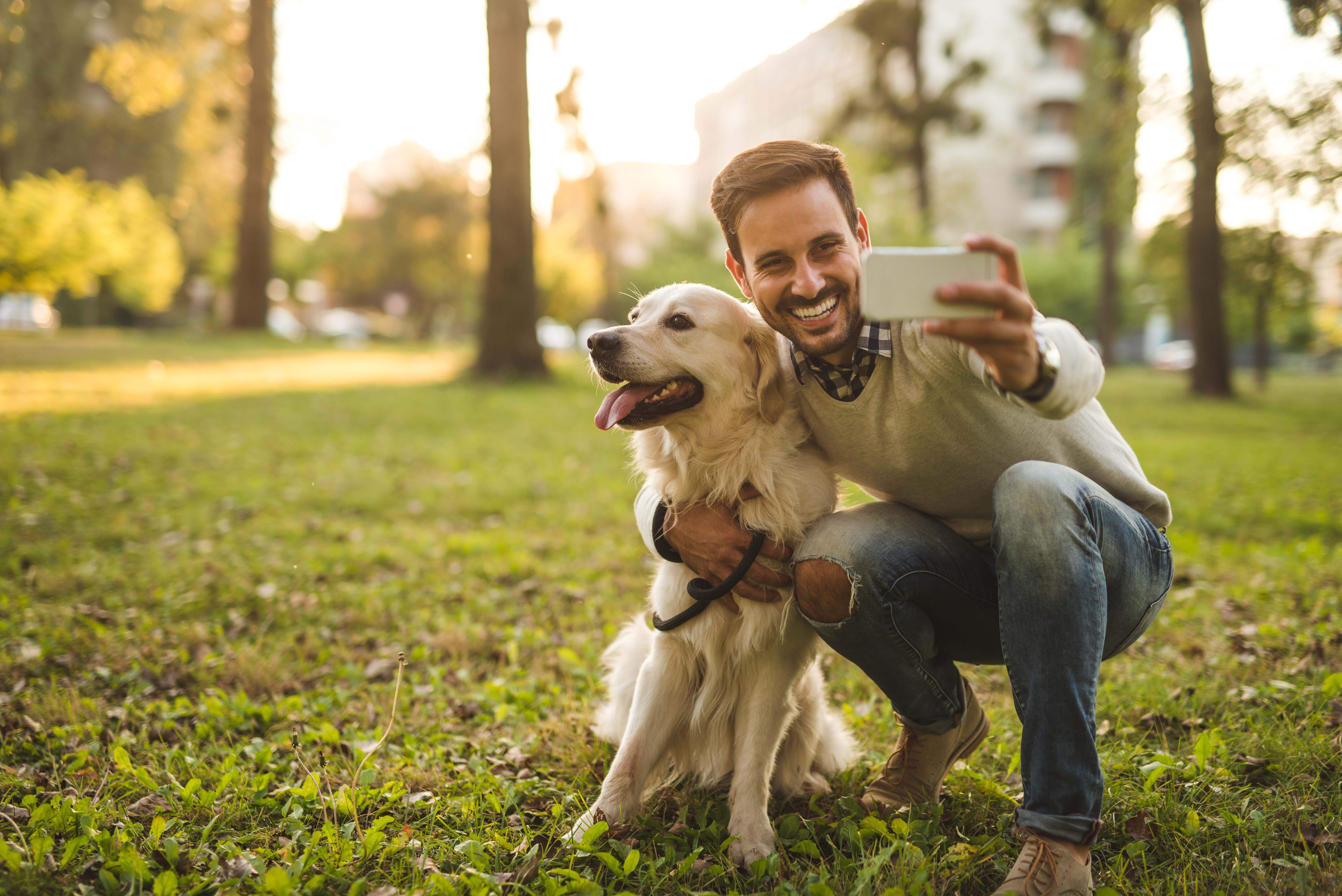 can dogs recognize voice over phone