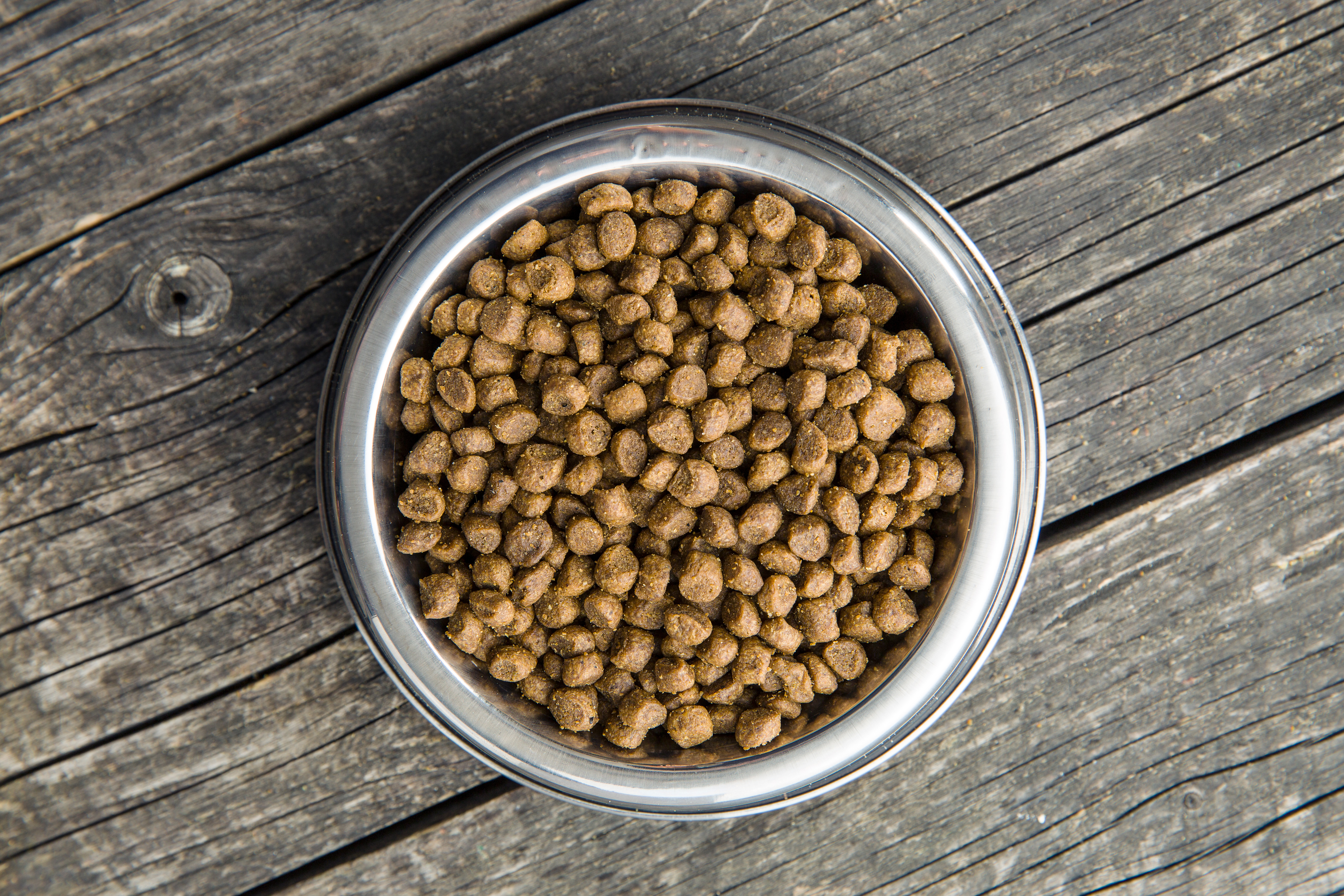 how long will dry dog food stay fresh