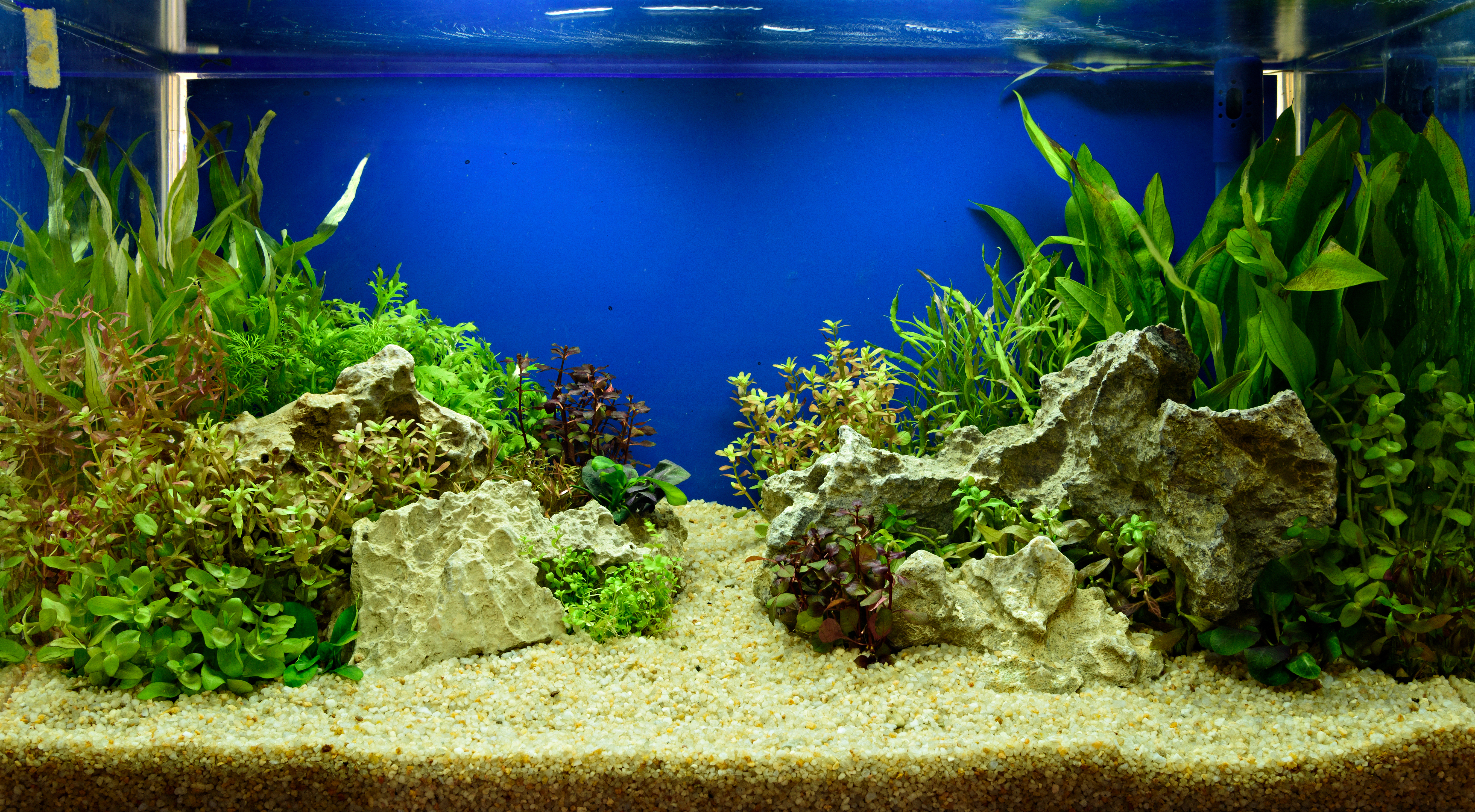 Best way to store clean aquarium decorations