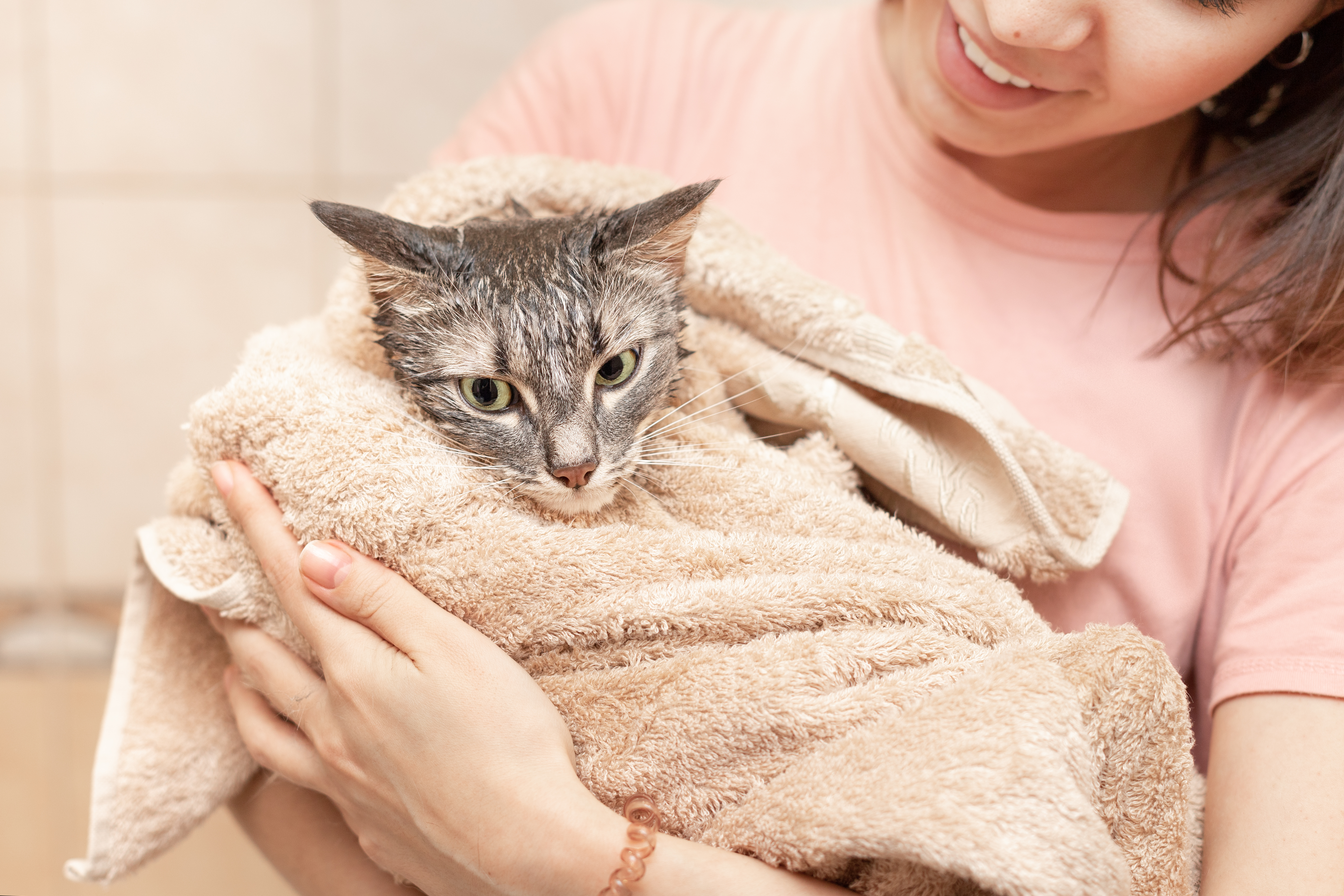 Scruffing: Is It a Good Way to Handle an Angry Cat? – Tabcat US