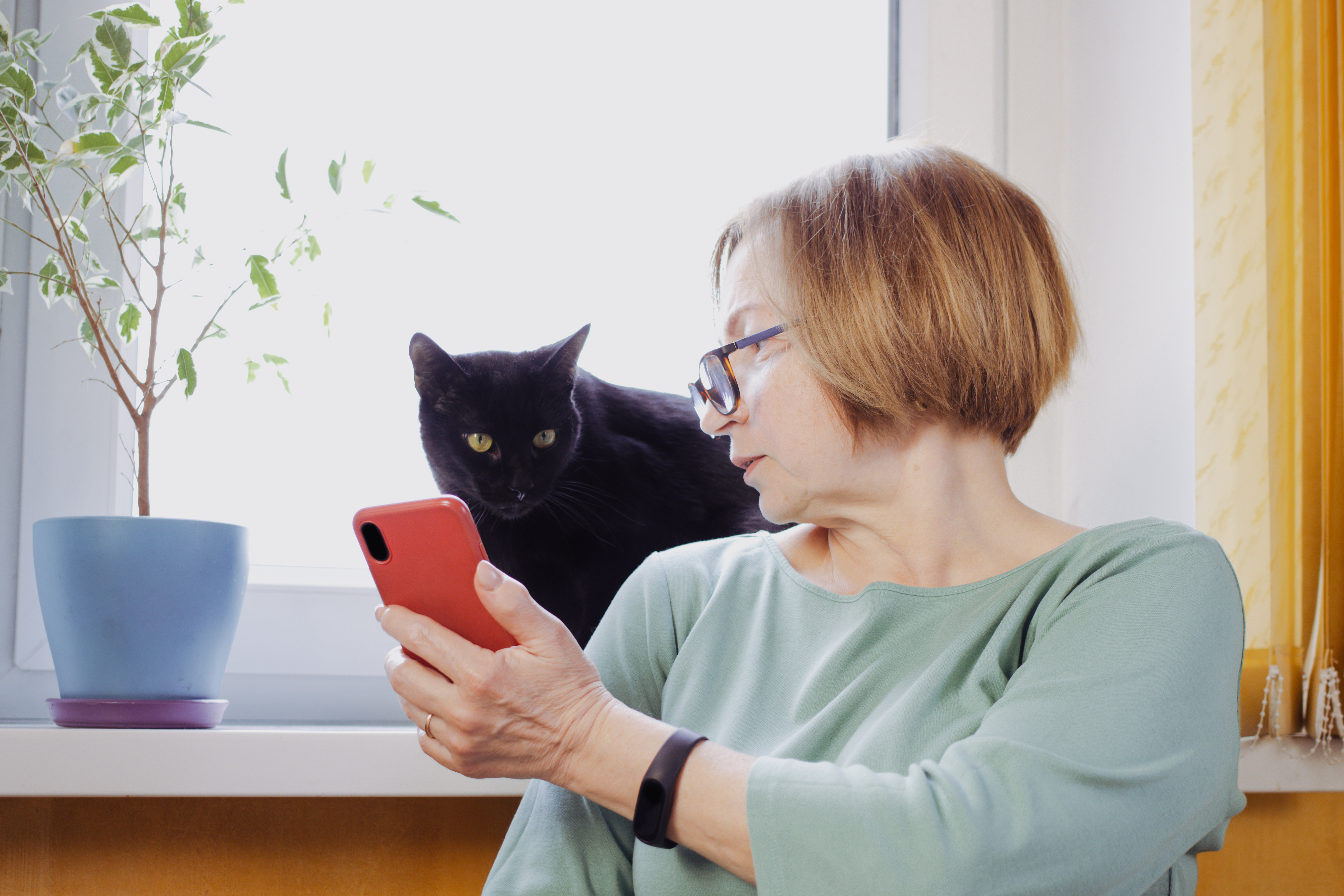 Your Cats Can Tell When You're Speaking to Them