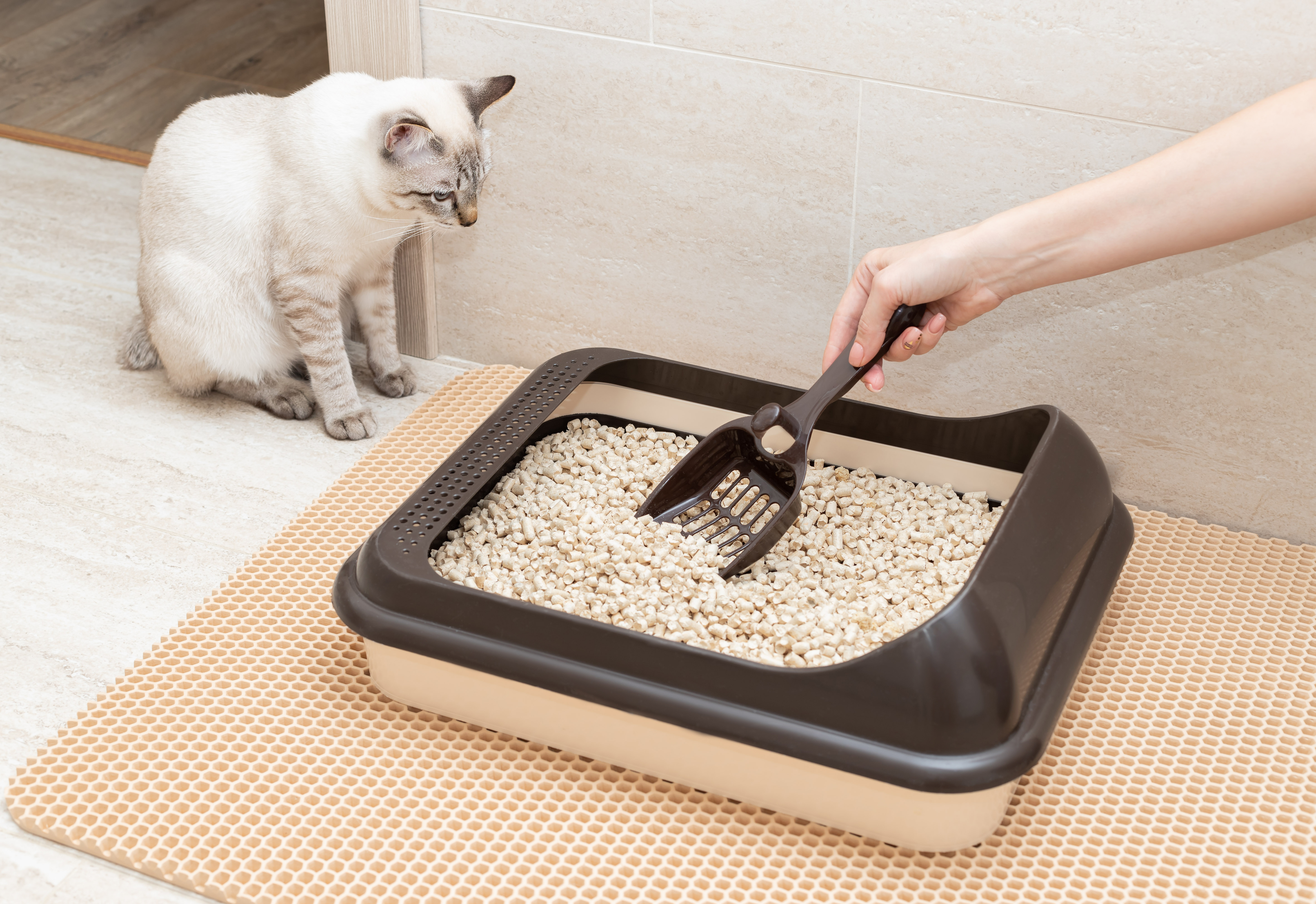 Vivaglory 3D Design Microfiber Cat Litter Mats Trap All Kind of