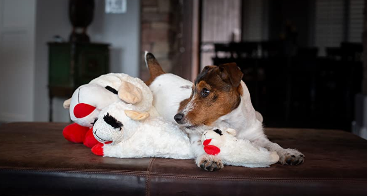 Multipet Plush Dog Toy, Lambchop, 10, White/Tan, Small