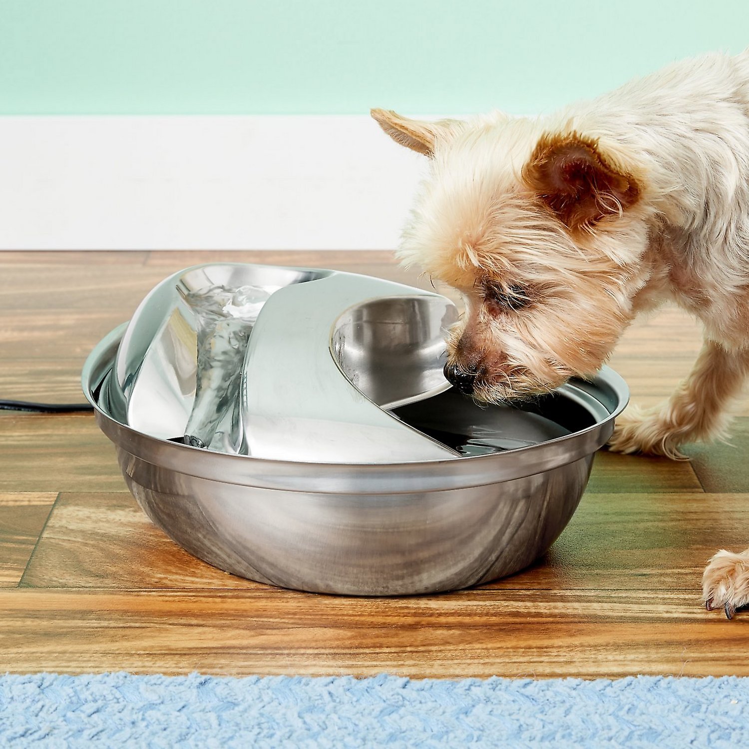 Pioneer Pet 128 oz. Big Max Stainless Steel Drinking Fountain