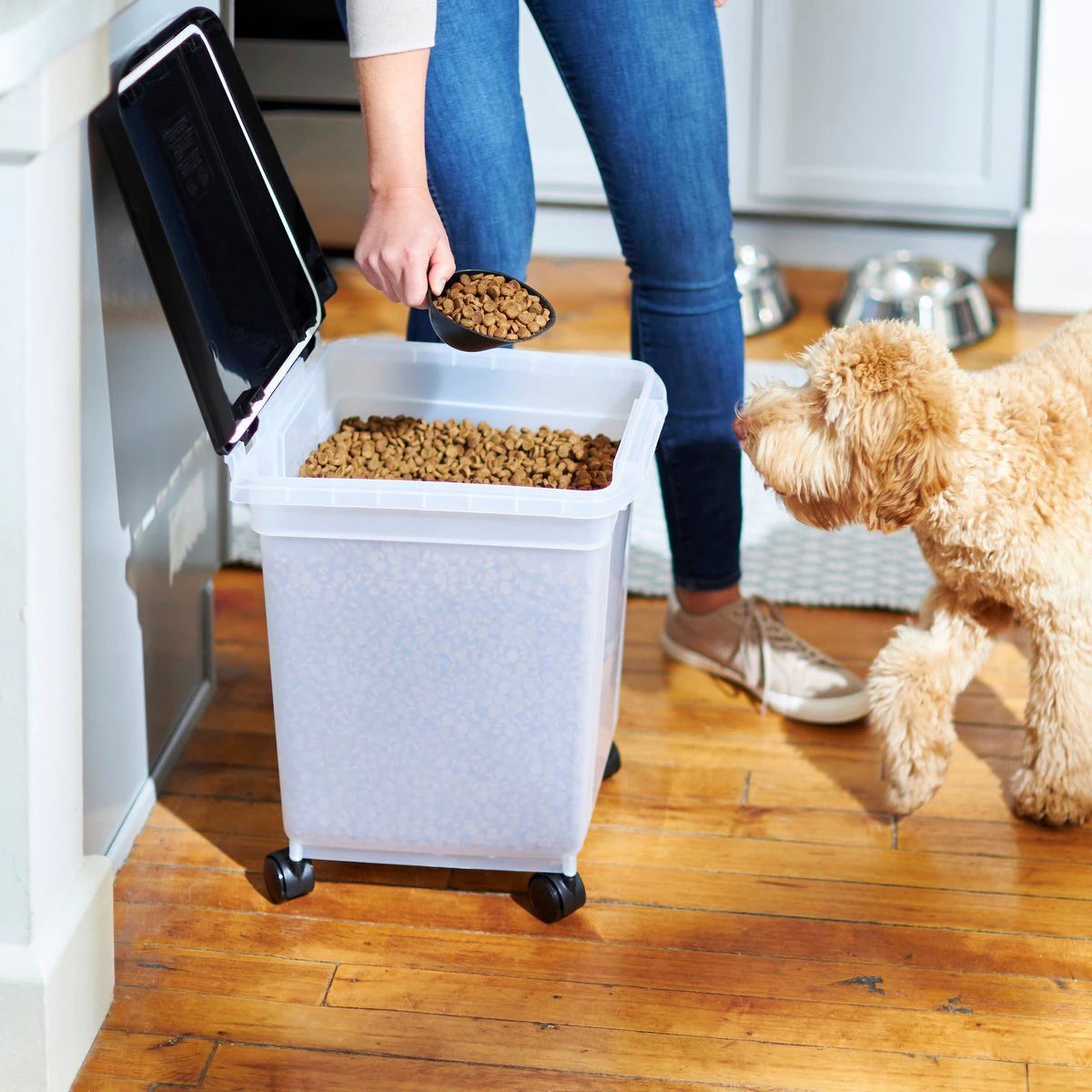 Buy Best Pet Food Storage Container