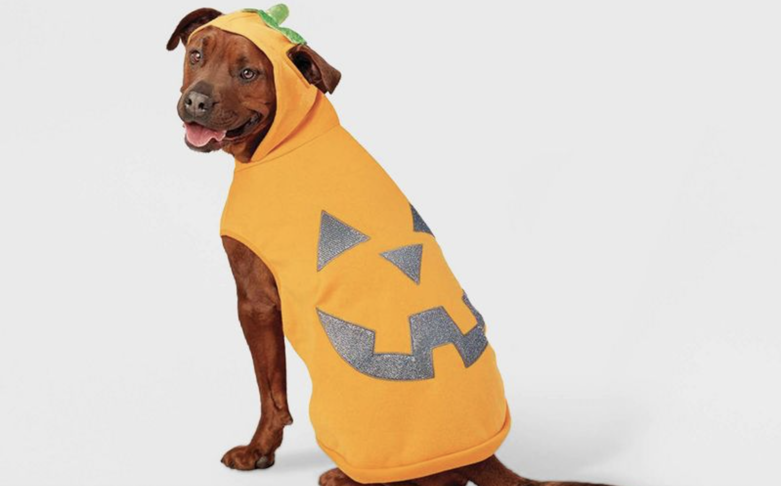 Dog Halloween Costumes - Spooky Collection - Fitwarm