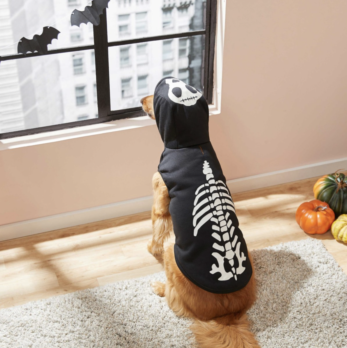 Dog Halloween Costumes - Spooky Collection - Fitwarm