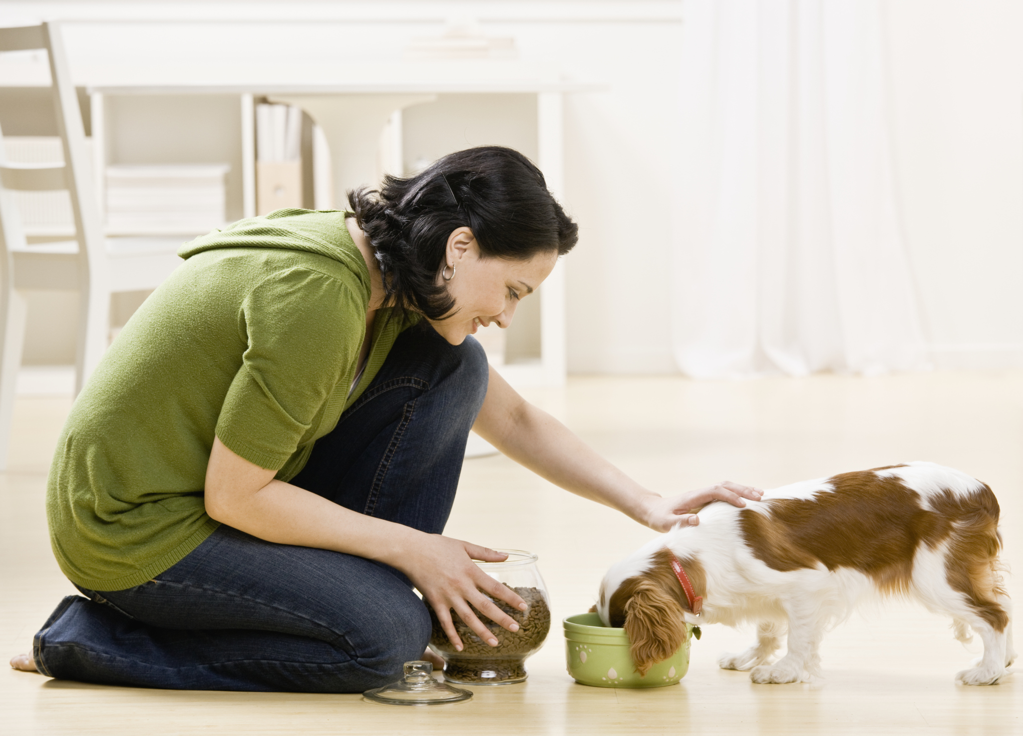 how long does it take for a puppy to digest their food