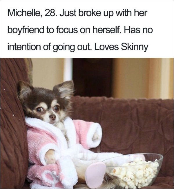 Just 23 Ridiculous Dog Bio Memes That Are Too Damn Real