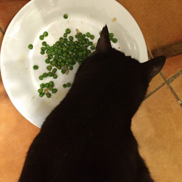 Are peas clearance bad for cats