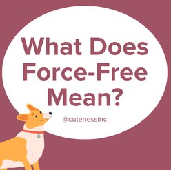 cute dog looking up at text "what does force-free mean?"