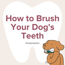 text "how to brush your dog's teeth" dark pink text on white background next to a cartoon of a dog brushing their teeth