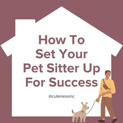 Instagram post that says, "How To Set Your Pet Sitter Up For Success" with graphic illustrations of a white house and a man walking a dog. 