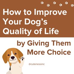 Instagram post with text, "How to Improve Your Dog's Quality of Life: by Giving Them More Choice" with illustration graphics of a dog and paw prints. 