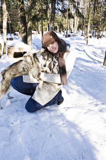 Woman with sled dog outdoors during winter