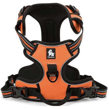 Orange Expawlorer Best No-Pull Dog Harness