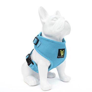 Light blue Ecobark Custom Fit Harness