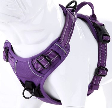 Purple Juxzh Truelove Soft Front Dog Harness