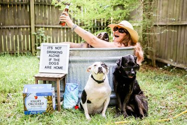 dogs pose in front of funny letter board