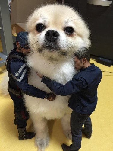 Small dog being embraced by two action figures