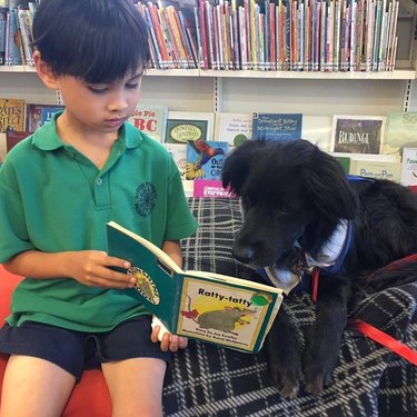 dog helping child read