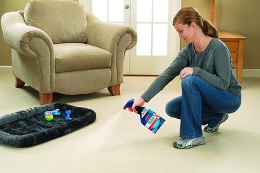 woman using Bissell Oxy Stain Destroyer spray on carpet