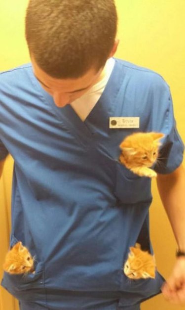 A man in scrubs has a kitten in each of his three pockets.