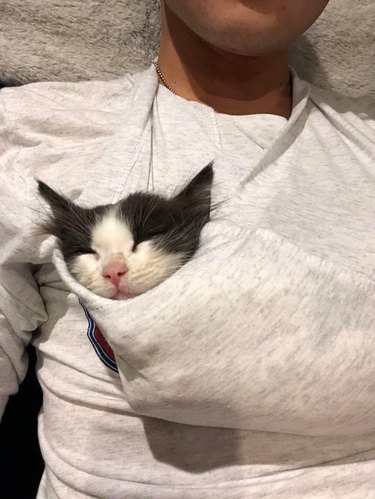A black and white kitten is sleeping in a pocket backwards sweatshirt hood.