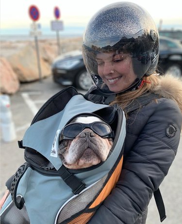 A French bull dog in sunglasses is carried in a backpack by a women in a motorcycle helmet.