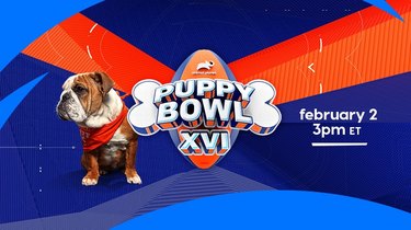 Puppy Bowl 16