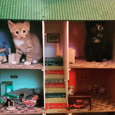 Two kittens are inside a small dollhouse.
