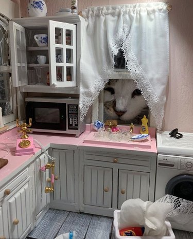 A cat is looking into dollhouse through a tiny window.