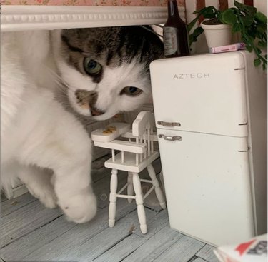 A cat is next to dollhouse high chair and fridge.