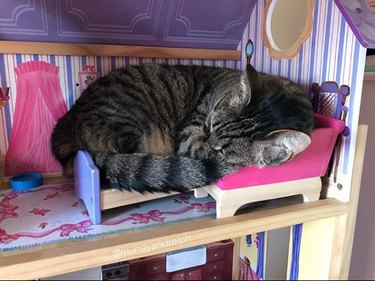 A cat is sleeping on dollhouse bed.