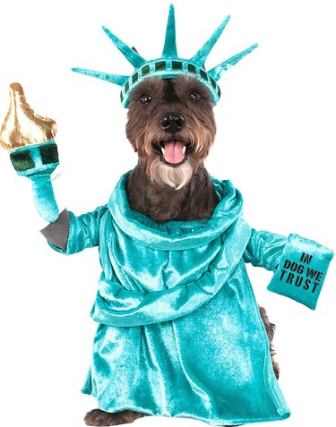 Statue of Liberty Halloween costume for dogs