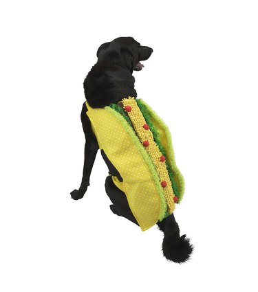 Taco Halloween costume for dogs