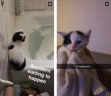 Kitten falling into a bathtu