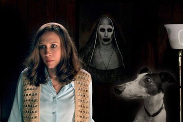 100+ horror movie names for dogs