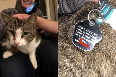 17 pets who are the living embodiment of accessory goals