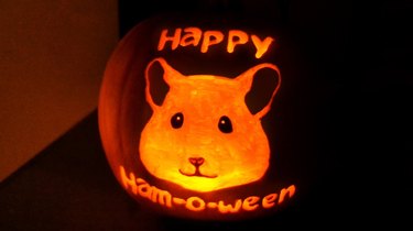 Jack'o'lantern with a hamster's face carved into it.