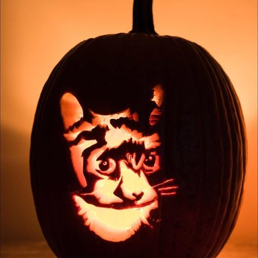 Jack'o'lantern carved with a cat's face.