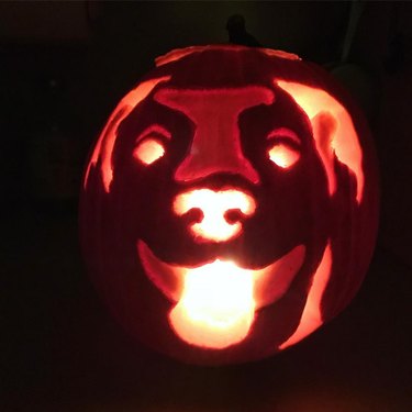 Jack'o'lantern with a dog's face carved into it.