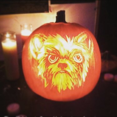 Jack'o'lantern with a dog's face carved into it..