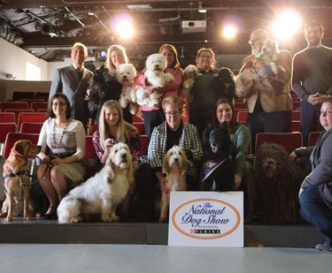 a group of National Dog Show entrants with their dogs