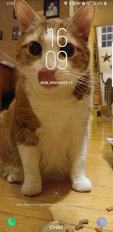 28 cat-themed locks screens for your phone