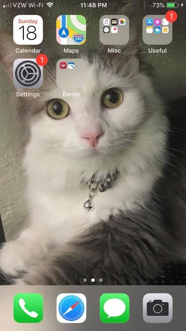 28 of the Best Cat Lock Screens Ever | Cuteness