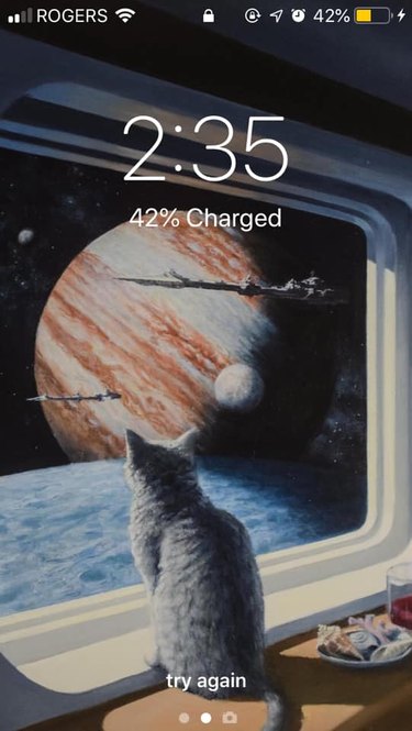 28 cat-themed locks screens for your phone