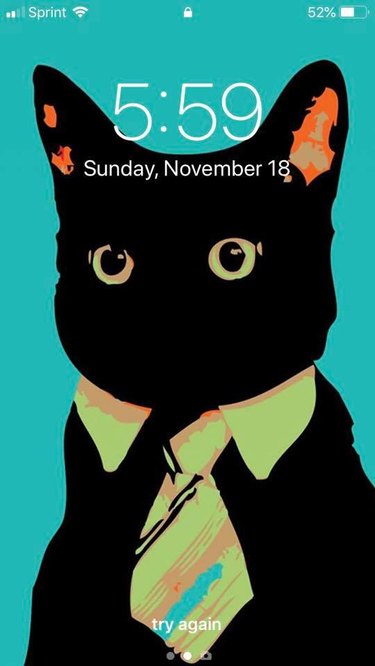 28 cat-themed locks screens for your phone